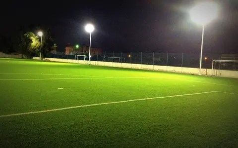 Spring Sports Academy - photo 2 of 5