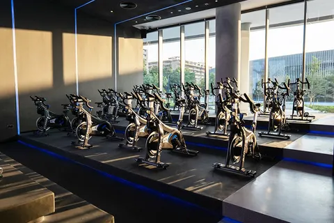 Wellfit Madar - photo 4 of 5