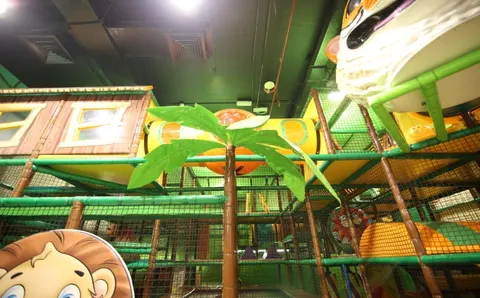 Kids Jungle - photo 4 of 4