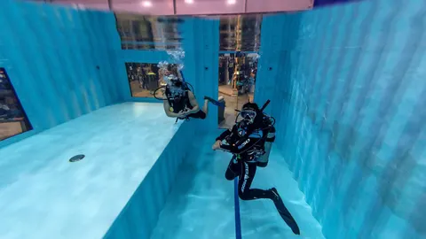 Divers Down UAE - photo 2 of 2