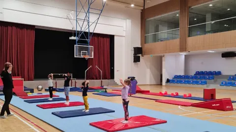 Gymnastex - photo 2 of 2