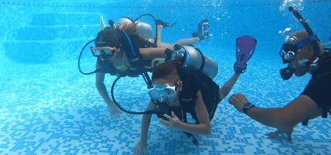 Bermuda Diving Center - photo 2 of 3