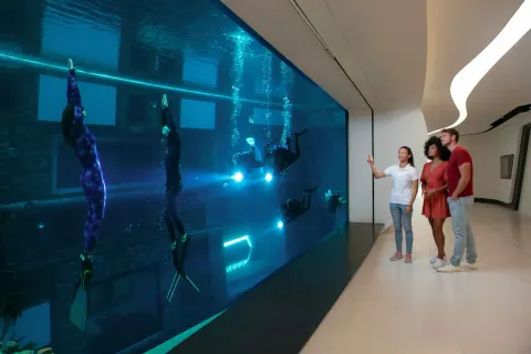 Deep Dive Dubai - photo 2 of 3