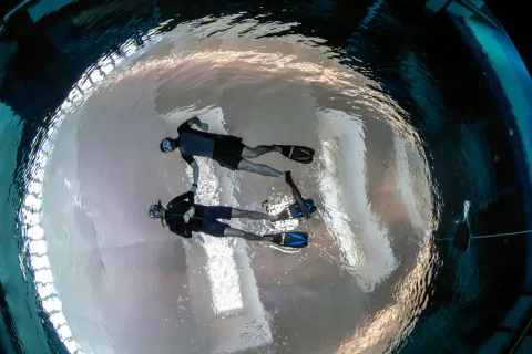 Deep Dive Dubai - photo 3 of 3