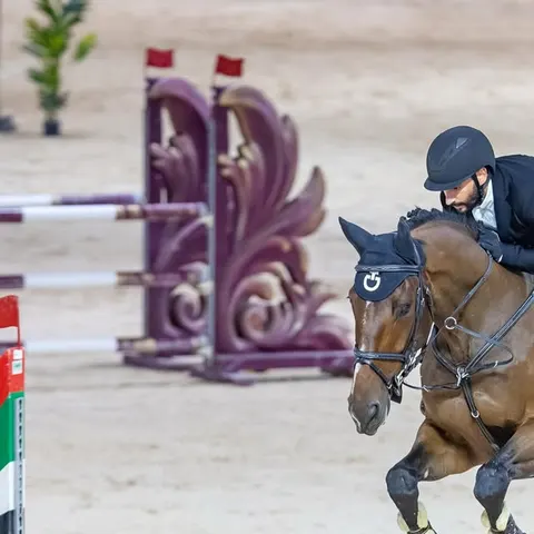 HM Equestrian Club - photo 2 of 2