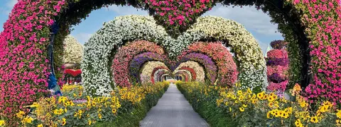 Dubai Miracle Garden - photo 2 of 5