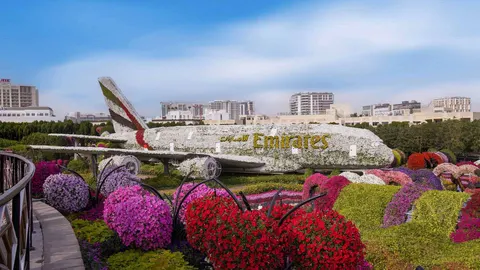 Dubai Miracle Garden - photo 3 of 5