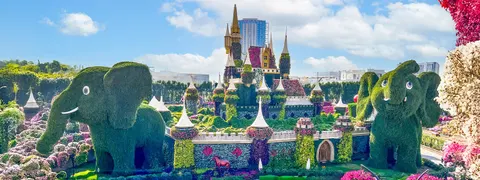 Dubai Miracle Garden - photo 5 of 5