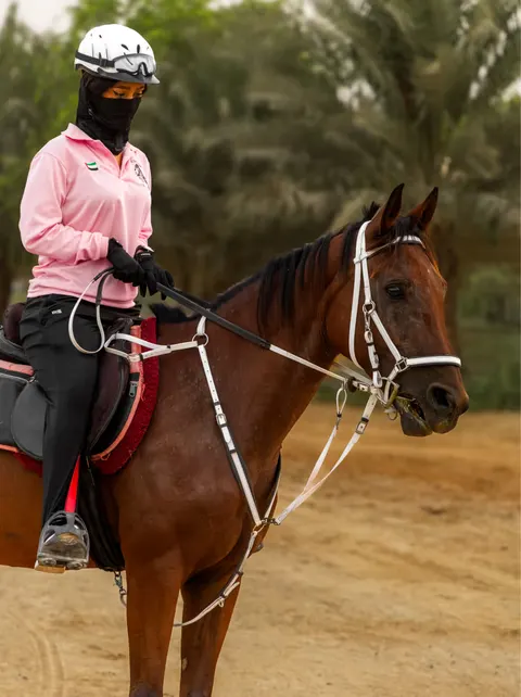 Al Jiyad Stables - photo 2 of 5