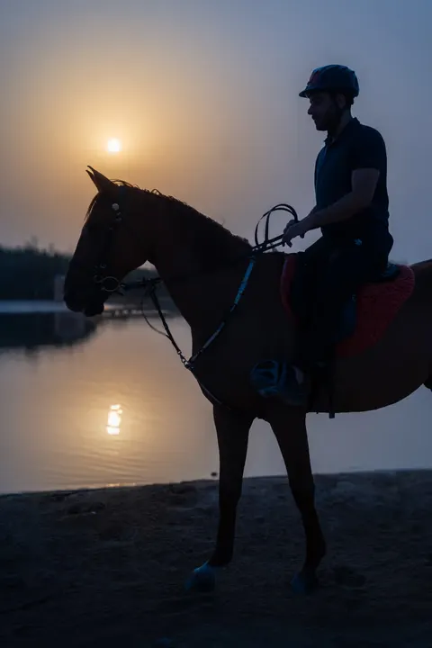 Al Jiyad Stables - photo 4 of 5