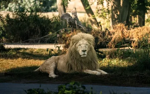 Dubai Safari Park - photo 2 of 2