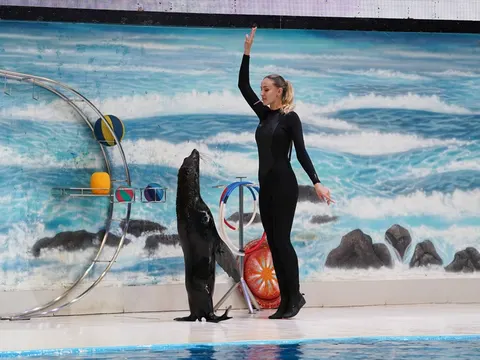 Dubai Dolphinarium - photo 2 of 4