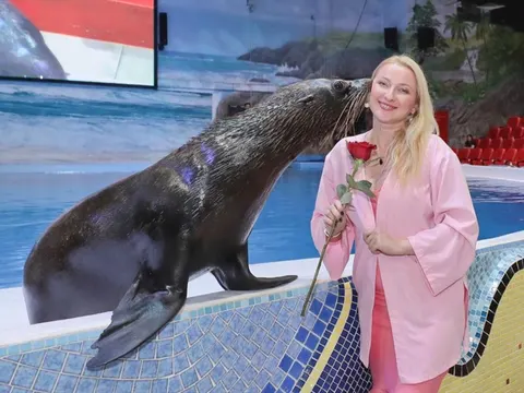 Dubai Dolphinarium - photo 3 of 4