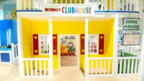 Cheeky Monkeys - photo 4 of 4