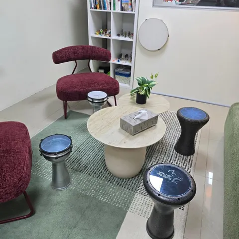 The Play Therapy Centre (PTC)