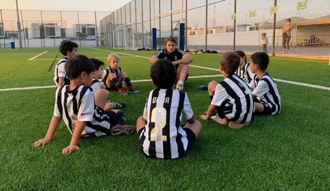 Juventus Academy Flag Island
