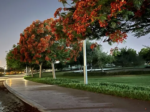 Al Warqa 3 Park, Al Warqa