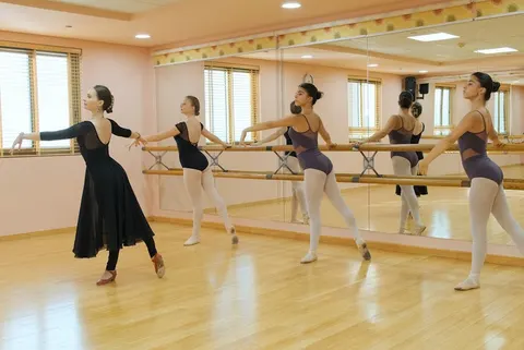 Harmony Ballet & Music Centre facility