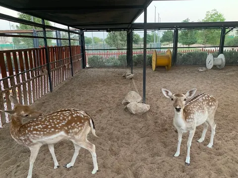 DAMAC Hills Pet Farm facility