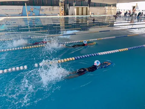 Dolphin Sports Academy