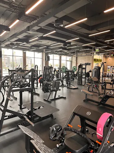 South Fitness Club - photo 2 of 7