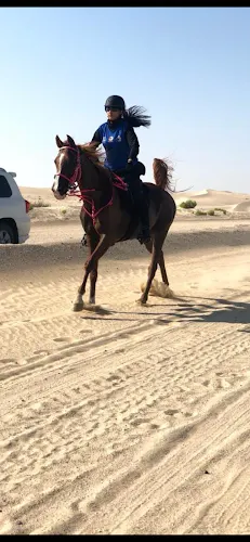 Asawer Equestrian Stables facility