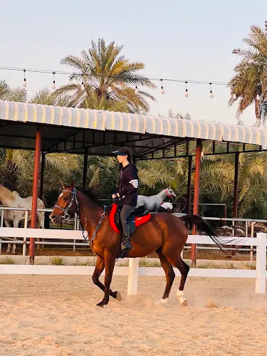 LS Equestrian Club Dubai facility