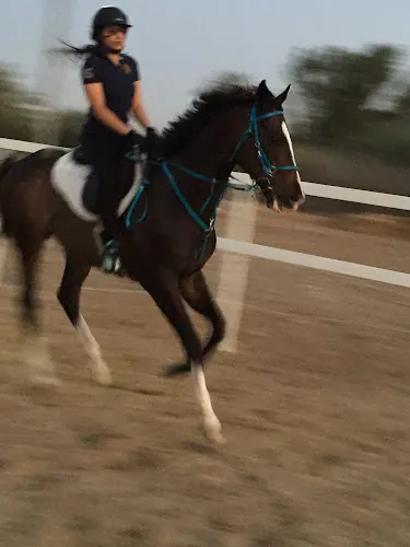 CityOne Equestrian Club