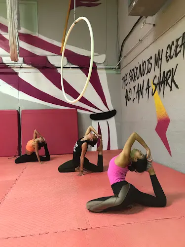Sharm Circus School Dubai facility