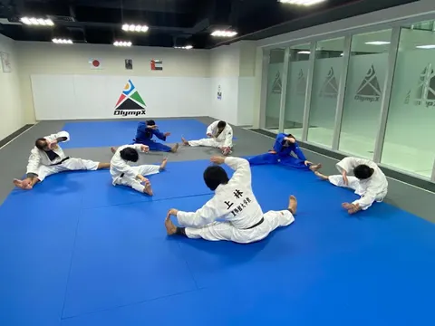 OlympX Martial Arts Club