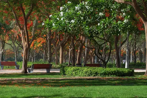 Zabeel Park, Al Kifaf