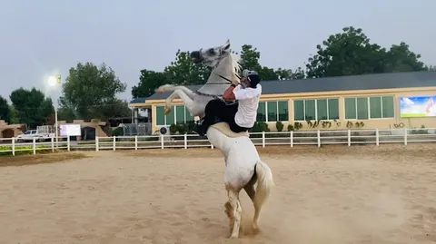 Elite equestrian club