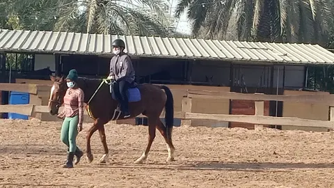 Equine Serenity facility