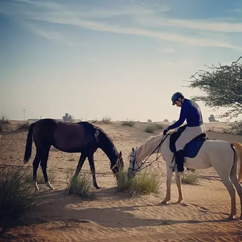 Sahara Stables facility