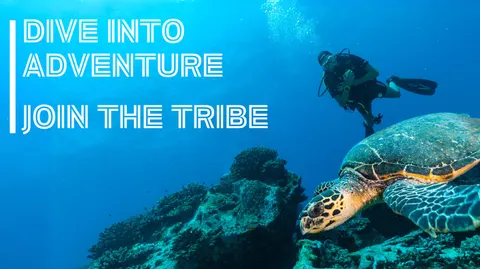 Dive Tribe