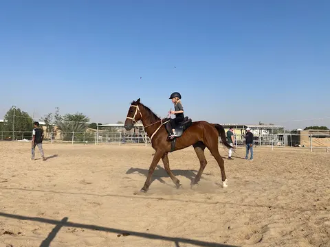 Dream stable facility