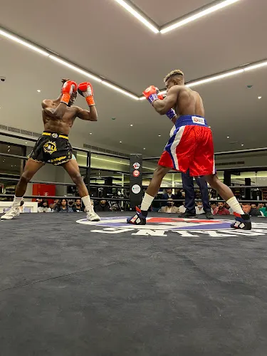 Cuban Boxing Club Dubai facility