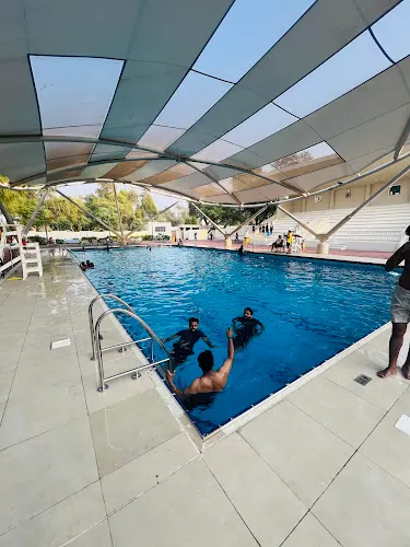 Little Champions Swimming academy