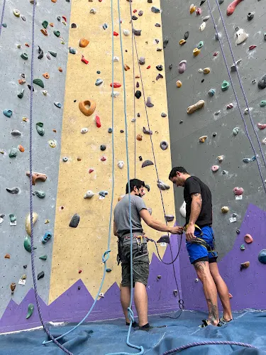 The Wall Climbing Gym