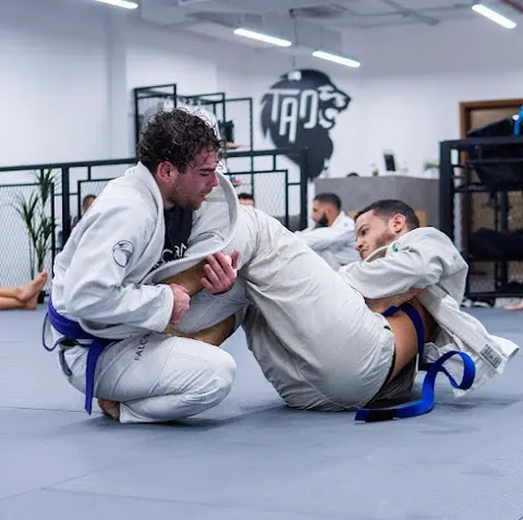 Falcons MMA facility