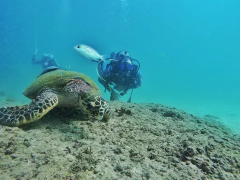 Drar Diving Center
