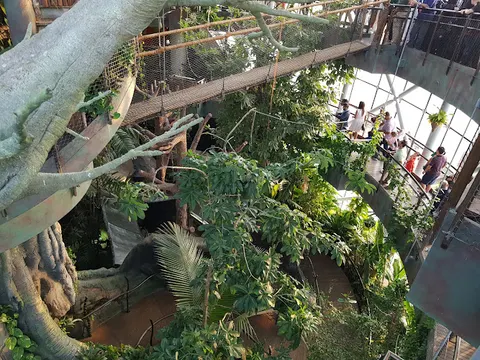 The Green Planet Dubai facility