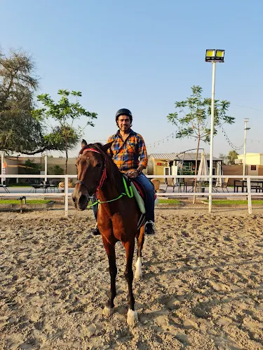 Wadi Alamardi equestrian club facility