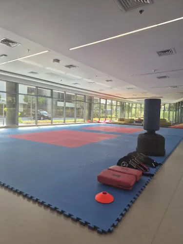 Taekwondo Academy facility