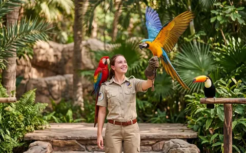 Live animal presentations at Dubai Safari Park
